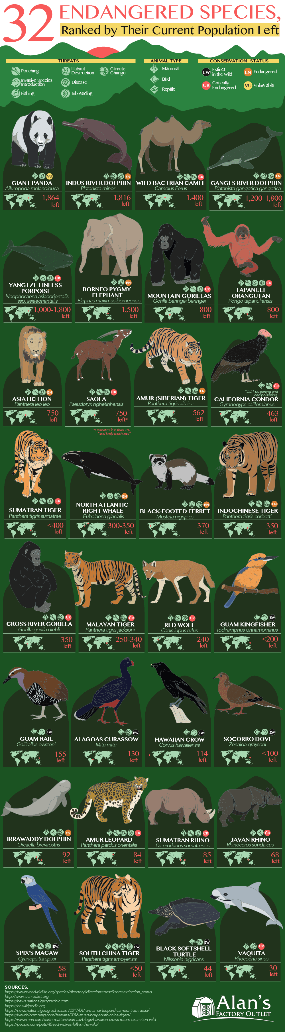 50 Weird Facts To Make You Love Animals | Daily Infographic