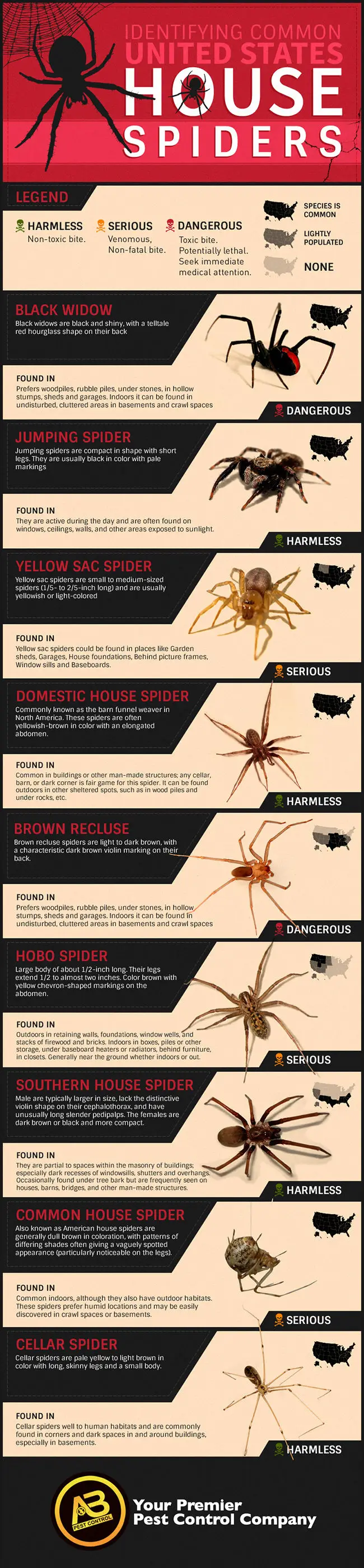 US spiders