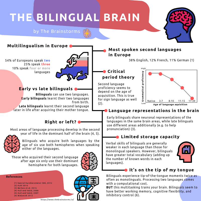 How bilingual brains work