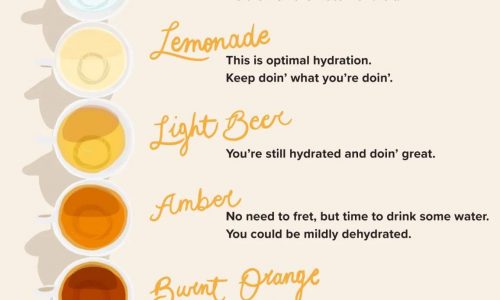 How Color of Pee Tells You If You're Hydrated
