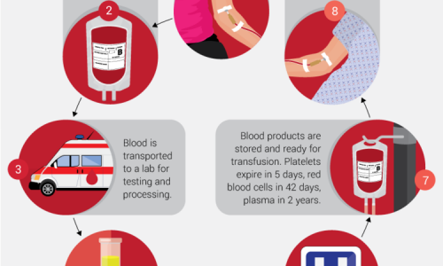 Guide To What Happens After You Give Blood