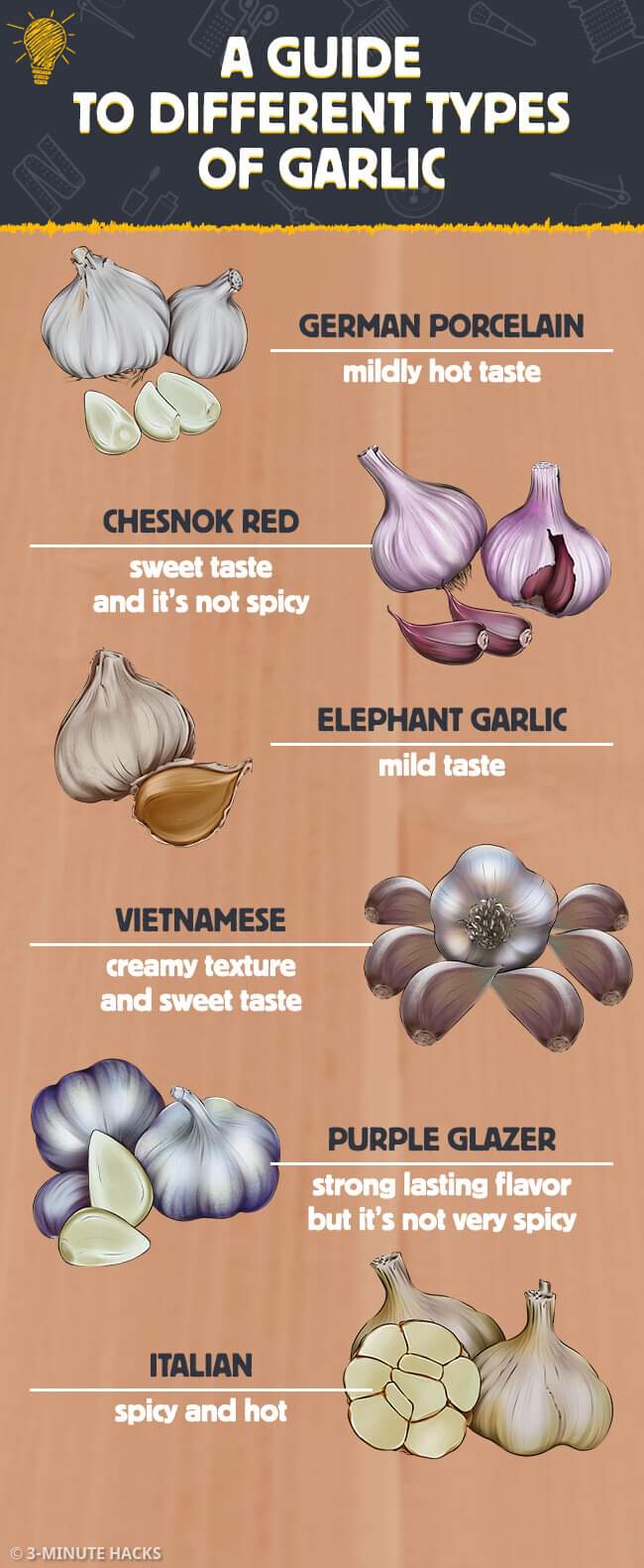 Different Types Of Garlic