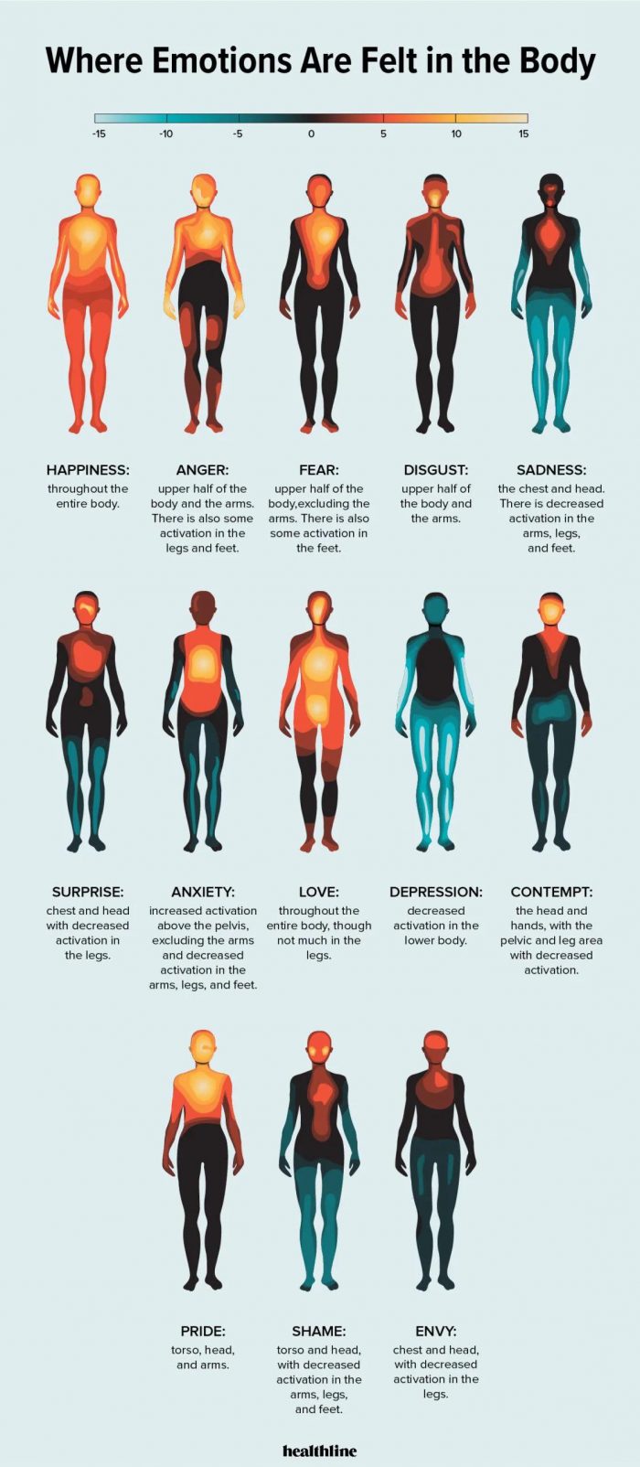 Where emotions are felt in the body