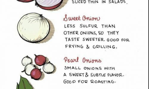 Guide to Onions