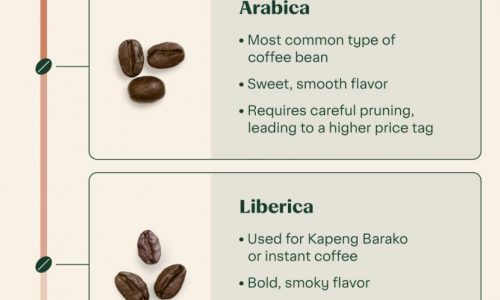 Types of Coffee Beans
