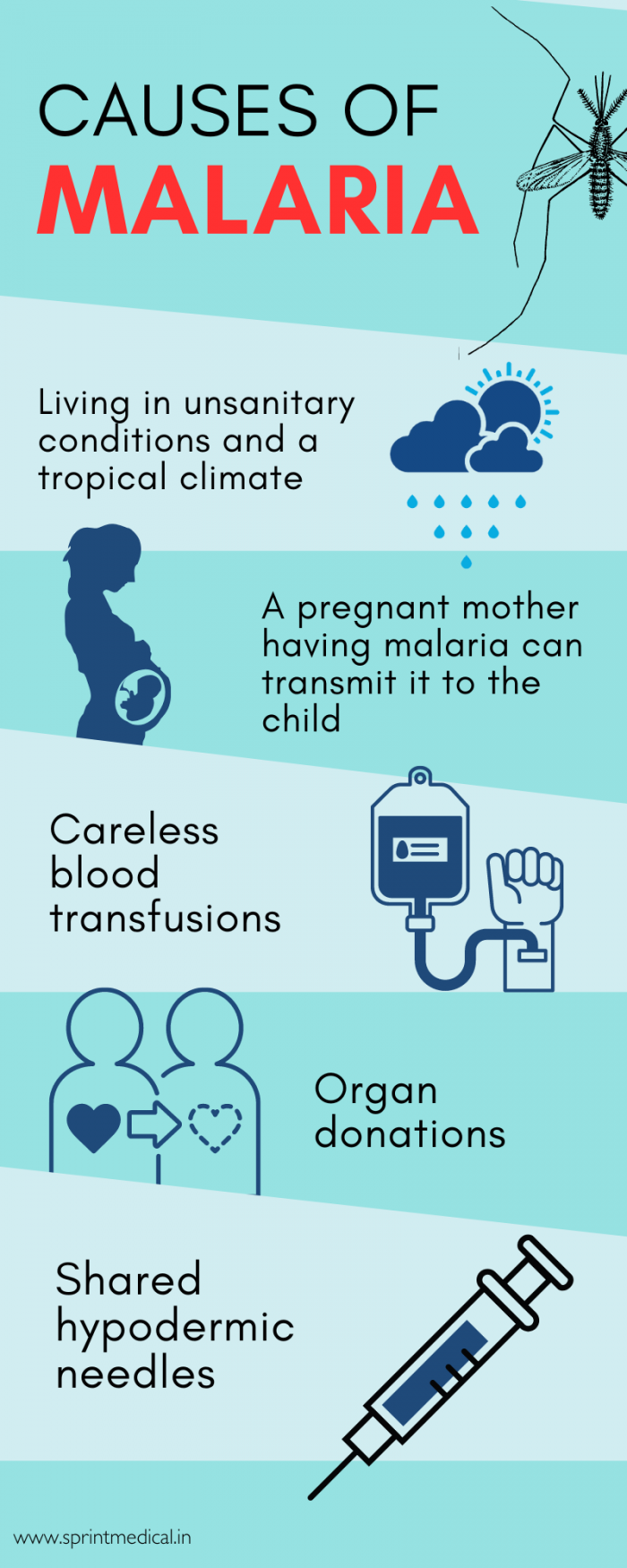 Causes of Malaria