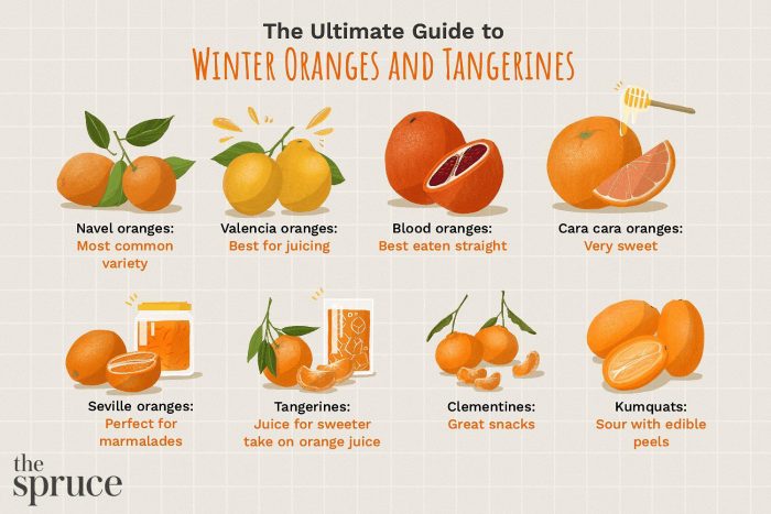different types of oranges and tangerines